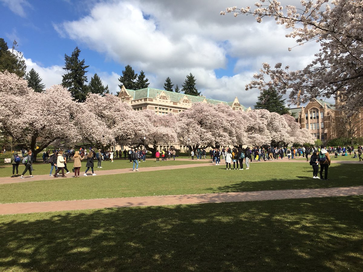 Wayne P. Roche (@RocheWayne) | Twitter