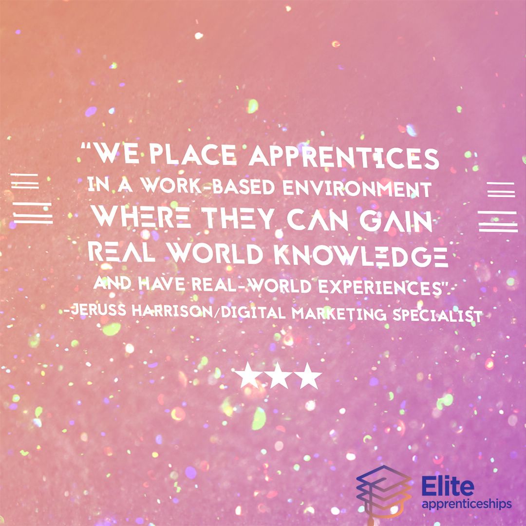 EliteApprentice's tweet image. 