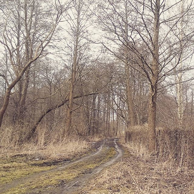 yoskine's tweet photo. Dobranoc 😚
-
#dobranoc #dobrejnocy #Zdory #mazury #mazurycudnatury #warmińskomazurskie #spacer #spacerek #spacerzpsem #drzewa #trees #krajobraz #landscape #wieśnamazurach #wieś #countryside #country #village #droga #road #ścieżka #niebo #picoftheday https://t.co/V44R7WK4Rc https://t.co/xmDI9A3ucL