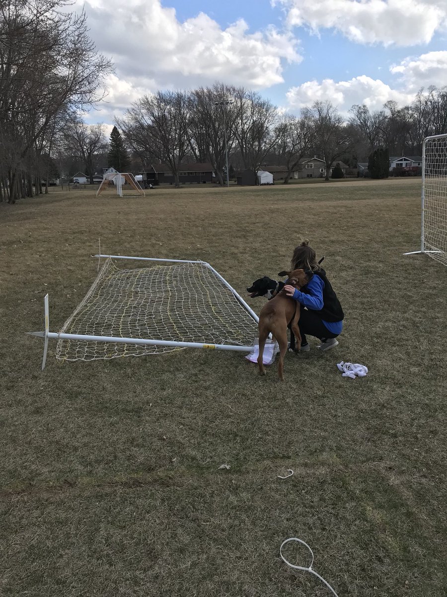 BrianE_NUFC's tweet photo. Installing kickbacks with a little help from the Insane Hound Posse. #dogsofsoccer https://t.co/hNEML2GC1W
