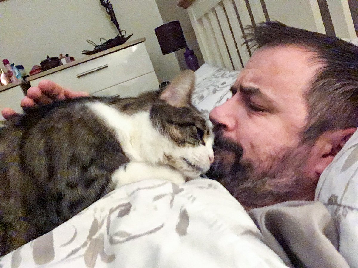 FelixLumpus's tweet photo. Decided to disrupt my human’s bedtime routine. Why? Because I can... #CatsOfTwitter https://t.co/t1UdwPXWIJ