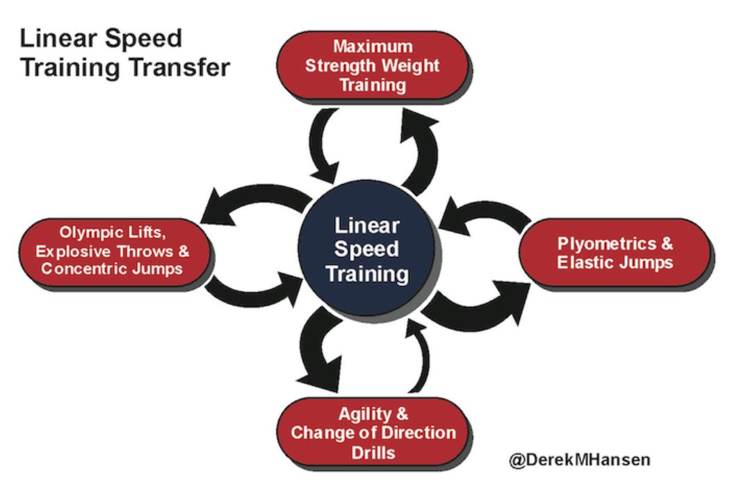 UW_OLYSTRENGTH's tweet photo. The Relevance and Importance of Speed Reserve in all Sports @DerekMHansen @StrngthPwrSpd @SPNetwork 
https://t.co/5lS2itq5wY https://t.co/SjqbJ7vJtj