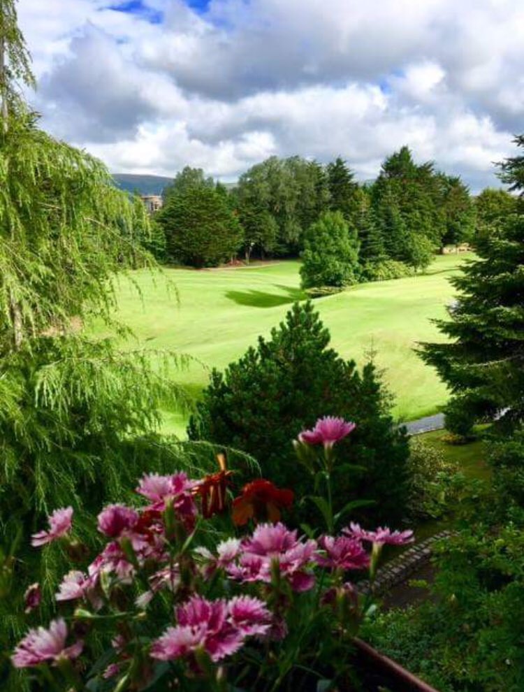 Media Tweets by Balmoral Golf Club (balmoralgolf) Twitter