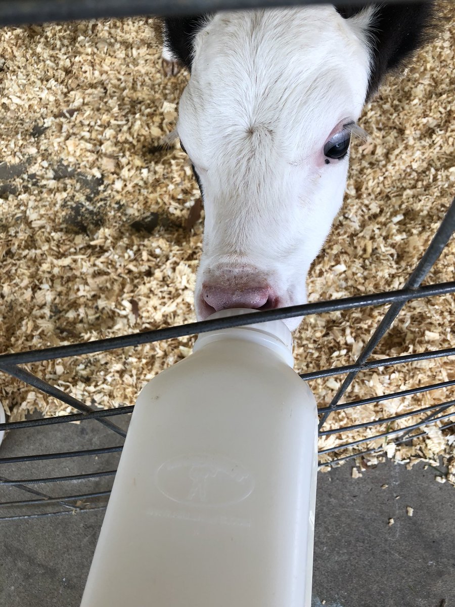 J. L. Francis tweet media