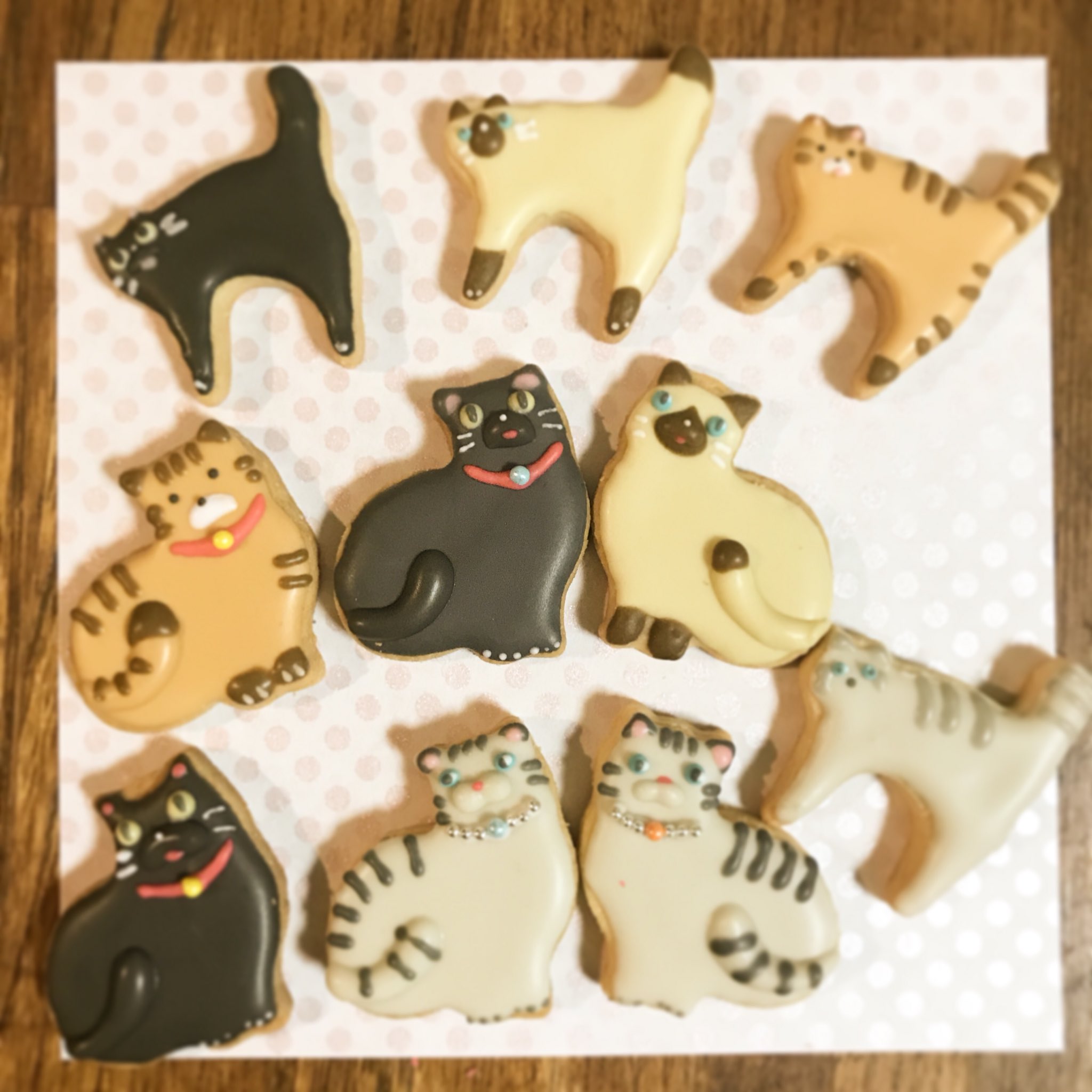 ぷらmix お花見に持っていくアイシングクッキー にゃんこ100均セリアの型だけどかわいいじゃない T Co Uecampyemo Twitter