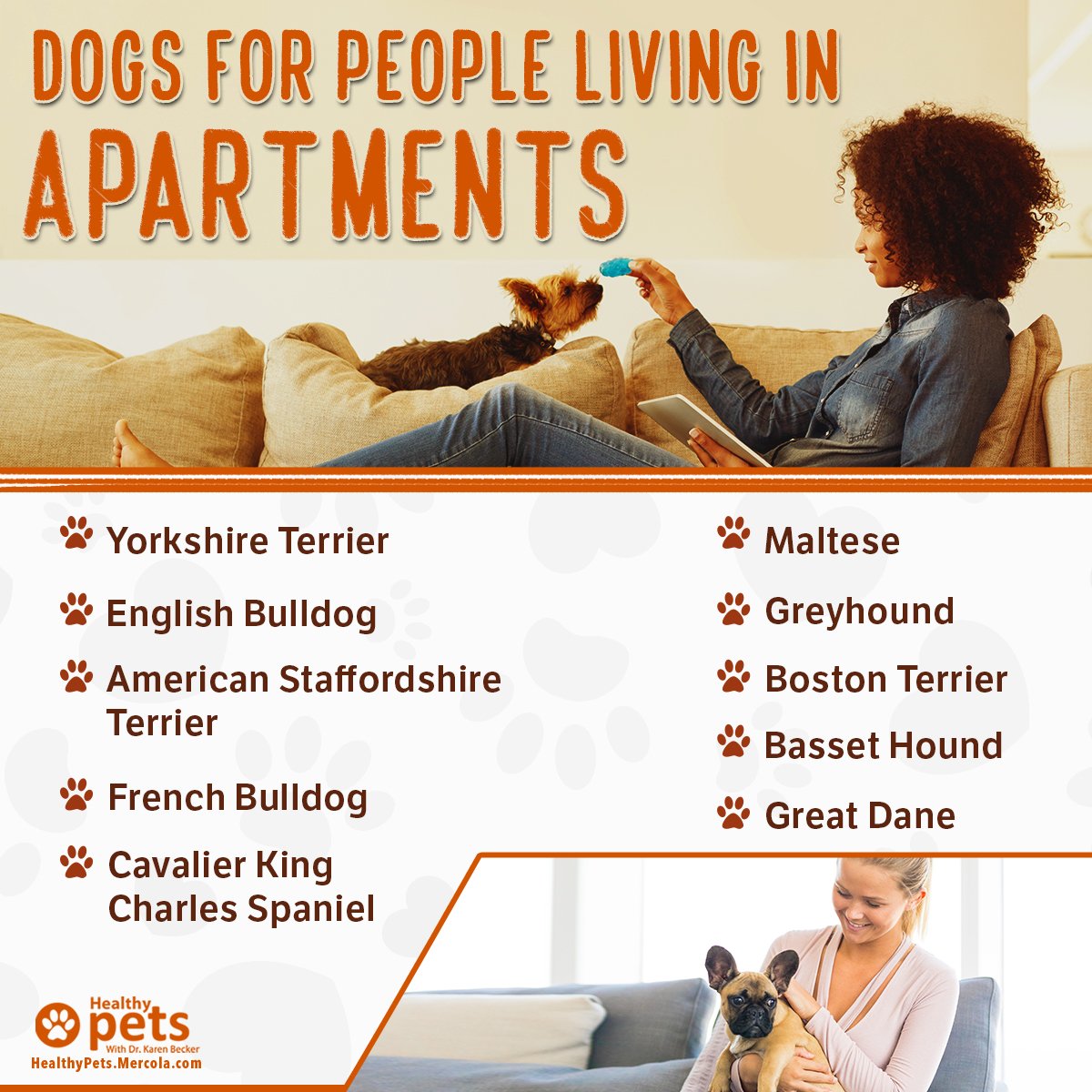 drkarenbecker's tweet photo. If you’re looking for a dog that suits apartment living, consider adopting one of these breeds:
https://t.co/M0MRtGNue2 https://t.co/tULJcNqDlx