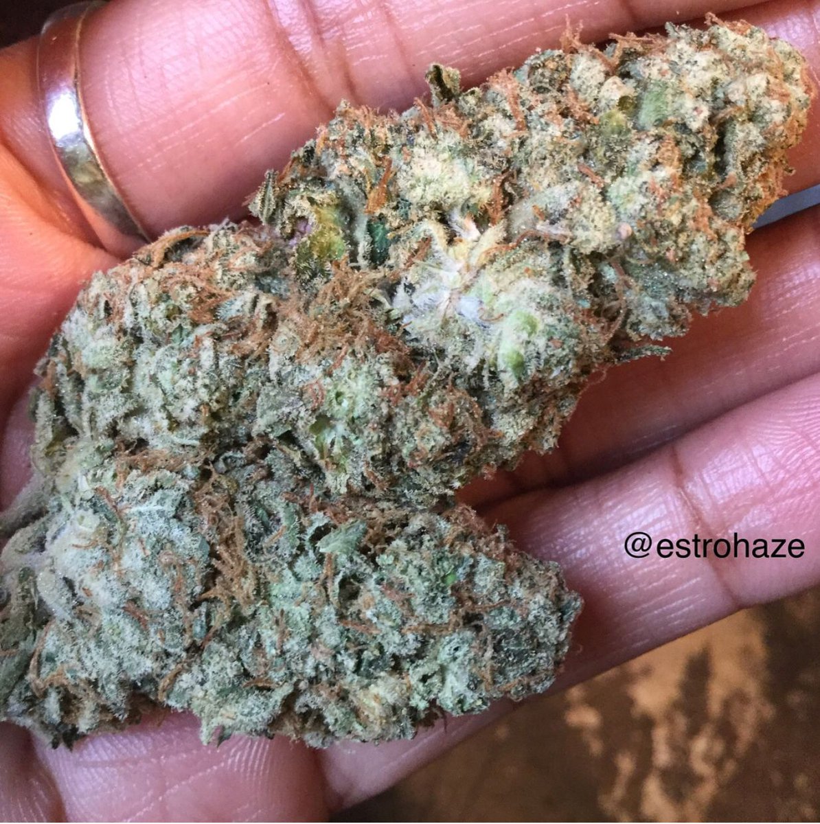 ontherevel's tweet photo. Some #aesthetics for your timeline courtesy of @estrohaze. This #strain is called #weddingcake π°π Can you guess which #estrohaze queen is hosting #Cannabis + The Consumer?π€ Get your #tickets π if you havenβt already. π± #linkinbio #LegalizeIt #OnTheREVEL https://t.co/y91VLPC6SX