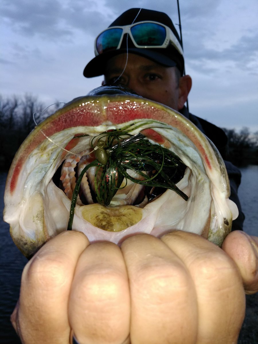Kayak_Dizz's tweet photo. Team Mues went out for a couple hours this evening to stomp the bank. Didn't expect to land 4 tanks over 20+"!
Best fishing ever.
●
○
●
#TeamMues #rocknreelcustomlures #powerteamlures #dunamisrods #Fishing #largemouthbass #nebraska #prespawn #bankfishing #pigpatrol https://t.co/SHx6UeXhWw