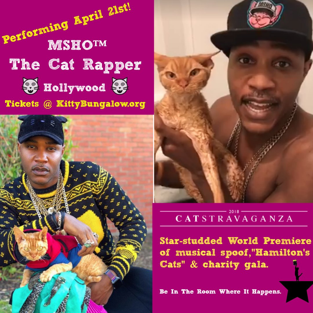 kittybungalow's tweet photo. BREAKING NEWS! 🚨 We are super thrilled to announce that @iammoshow #TheCatRapper will be performing at #CATstravaganz on April 21st at @TheMontalban . 🙀 Every ticket sold goes to support Kitty Bungalow's animal welfare programs. More info &amp; tickets at https://t.co/ylMCZEvyJJ https://t.co/TR65yBg2fg