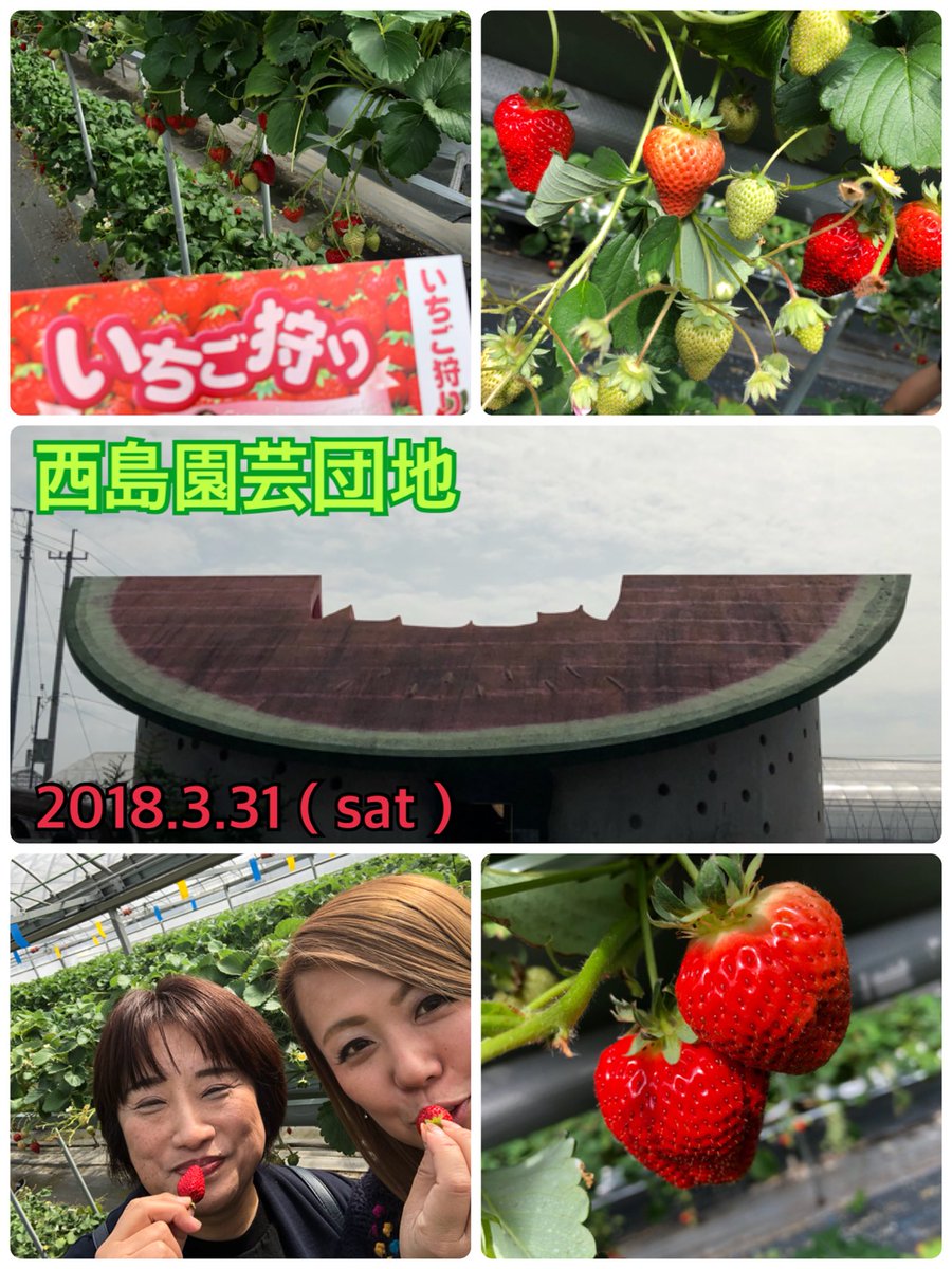 西島 園芸 団地 いちご 狩り 団地 狩り いちご 園芸 西島
