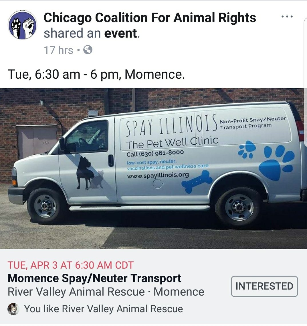 TeachKaminski's tweet photo. Spay or neuter your cats and dogs right here in Momence from 6am-630pm on Tuesday the 3rd! Please retweet to help end the homeless/stray epidemic in our area! #wearemomence #spayillinois https://t.co/IjKhPs8rJR