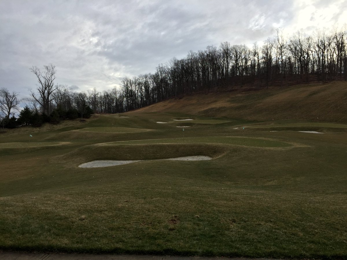 Michael Guli tweet media