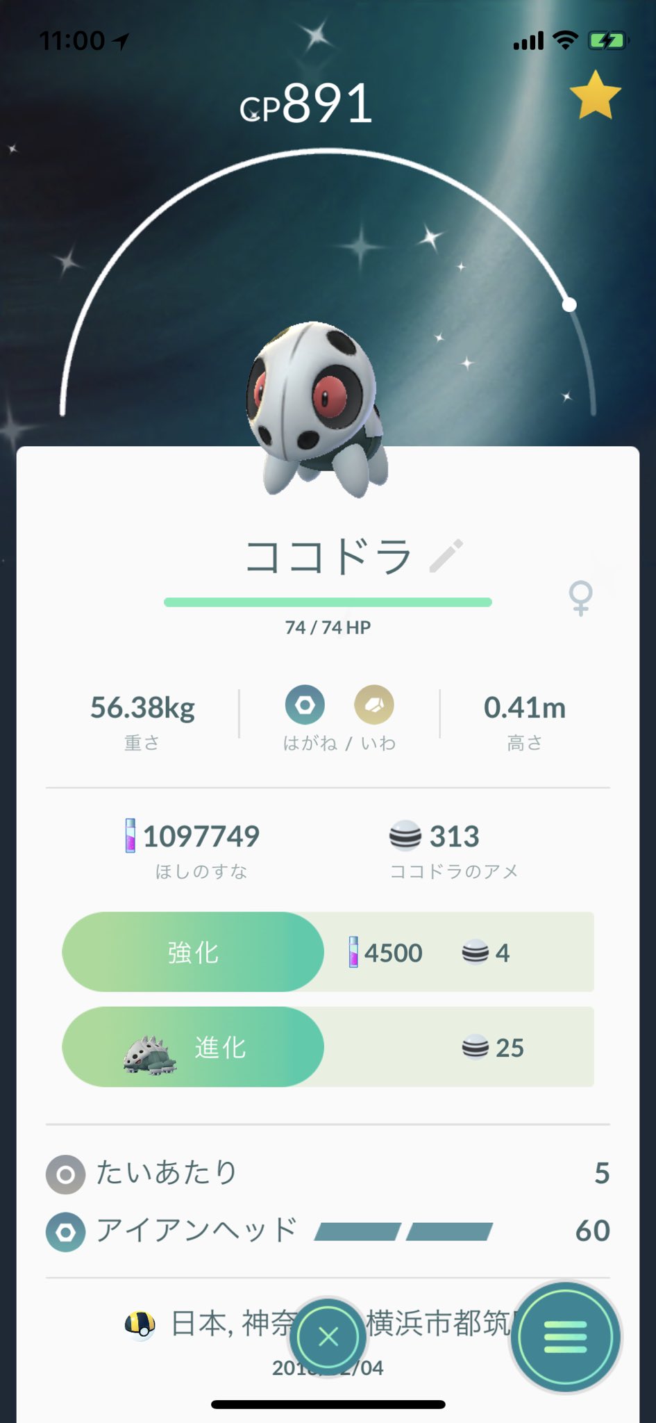 Team Mr Mime Mania 色違いココドラ コドラ ボスゴドラ ポケモンgo Pokemongo 色違い ボスゴドラ T Co Jq9cngwuer Twitter