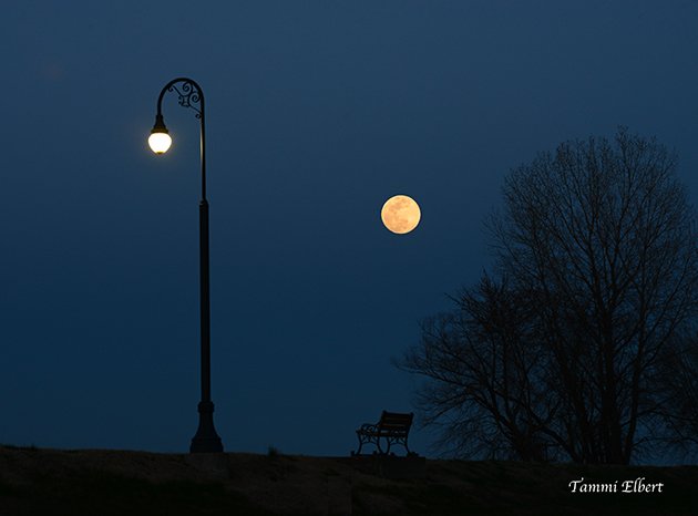 TammiElbert's tweet photo. By the light of the moon... #NewHavenMo @StormHour @SteveTempleton @MeghanDanahey #nightphotography #moon @AP @NatGeoPhotos #yourbestshot https://t.co/uzTkvzkx2t