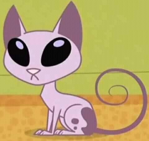 BraianOrtiz_'s tweet photo. Los pibitos de ahora nunca van a saber lo malo que era este gato https://t.co/pAv1kMwxQW