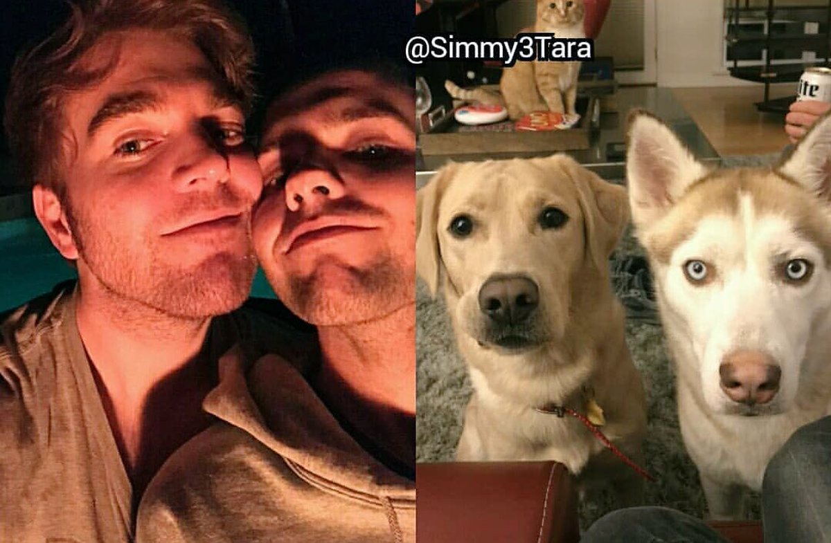 shanedawson's tweet photo. we literally look like our dogs https://t.co/hainfRx1Ys
