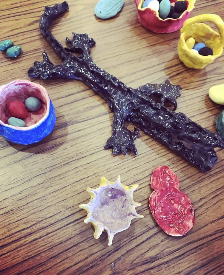 ColdeanCCorner's tweet photo. The perspective &amp; inspiration consistently brought to this diverse setting by Brighton Uni Occupational Therapy students is always invaluable, last week the residents &amp; members of our wider community proudly exhibited their completed pottery project @BrightOccTher @theRCOT https://t.co/LLFGlX19oG