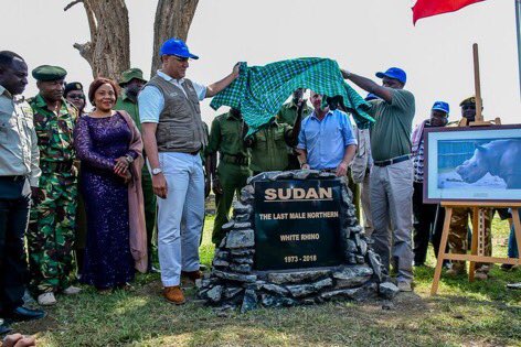 Dr. Margaret Mwakima (@dr_mwakima) on Twitter photo At Ol pajeta Conservancy during the tribute for Sudan with <a href="/tunajibu/">Hon. Najib Balala E.G.H</a> and Governor <a href="/NdirituMuriithi/">Ndiritu Muriithi</a> of Laikipia County At Ol pajeta Conservancy during the tribute for Sudan with <a href="/tunajibu/">Hon. Najib Balala E.G.H</a> and Governor <a href="/NdirituMuriithi/">Ndiritu Muriithi</a> of Laikipia County