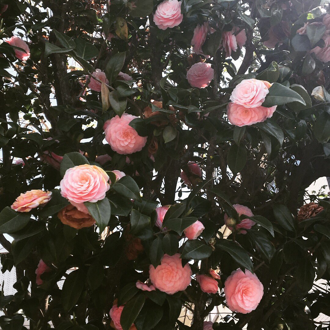 무서울 정도로 완벽한 규칙성이다