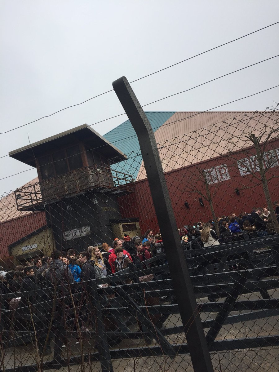 JaydenQPR's tweet photo. Just done The Walking Dead Ride. Decent but needs a lot of work done to it. 👍🏽🧟‍♂️ #TWDTR https://t.co/1Dwc61mrqT