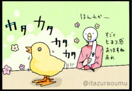 ﾋﾖｯｺー…!! 