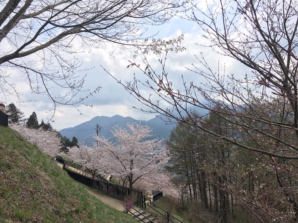 IrinaSarbustean's tweet photo. For centuries, the Japanese have celebrated the annual flowering of Sakura 🌸This marks an awakening of nature and symbolises that beauty is momentary and life must be enjoyed #April #Japan #sakura #cherryblossom https://t.co/J5JGUSbi70