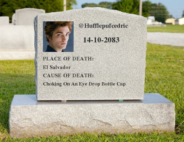 CEDRIC DIGGORY (@hufflepufcedric) on Twitter photo 
