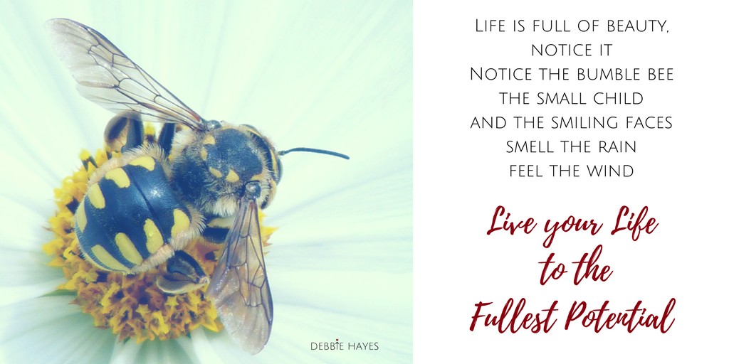 DebbieHayesHQ's tweet photo. Time to slow down over the Easter Weekend and appreciate the little things in life https://t.co/lkMLOx3Ofz