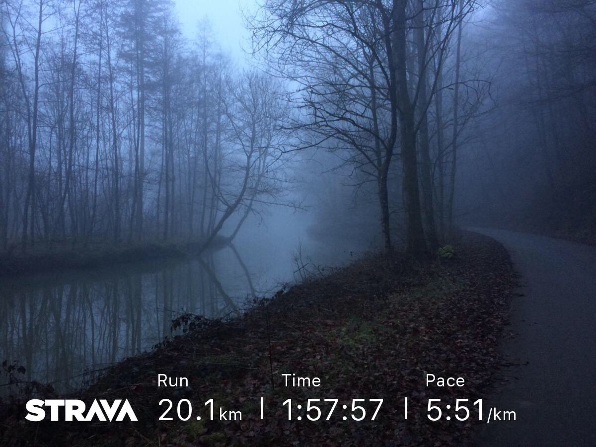dbethel33's tweet photo. Cold run on a foggy morning with my favorite person thanks to grandparents. #grandparents #marriage #running https://t.co/GvlpknT0kK
