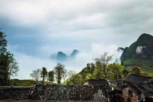 Shaolinkungfu's tweet image. 一片云