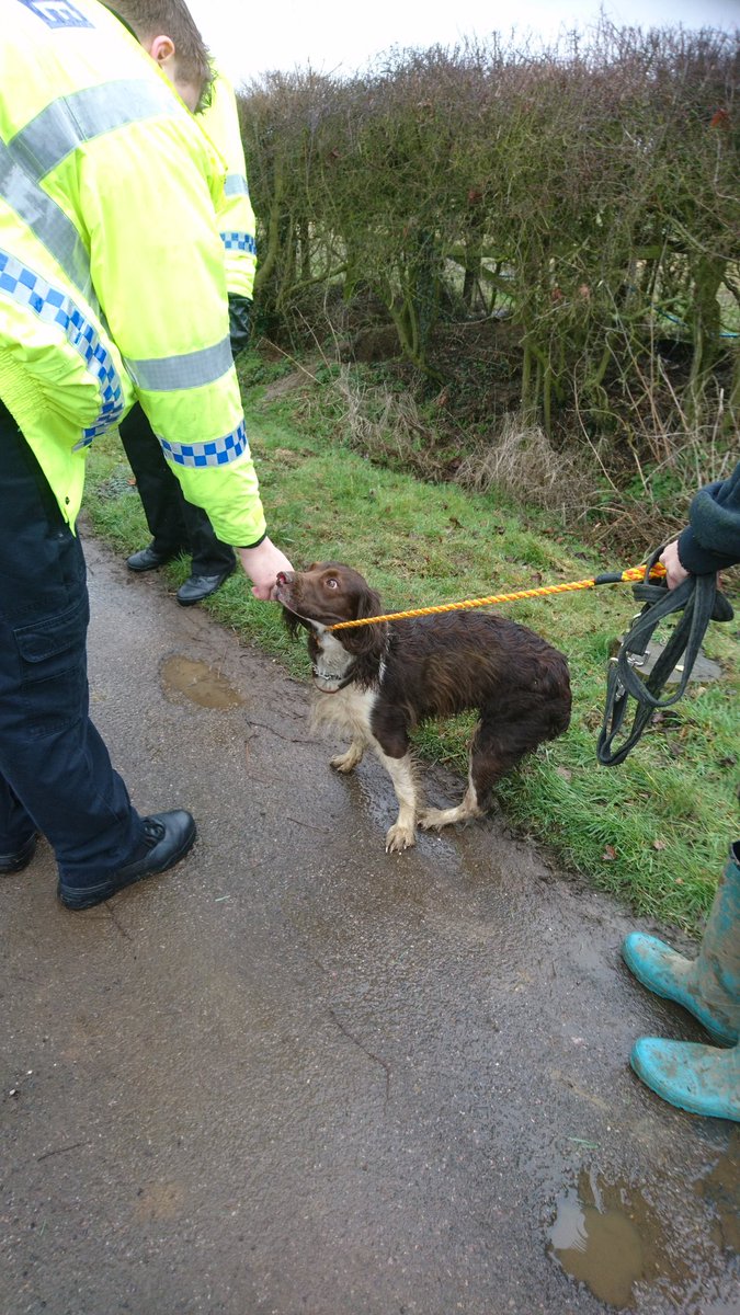 layla streeton tweet media