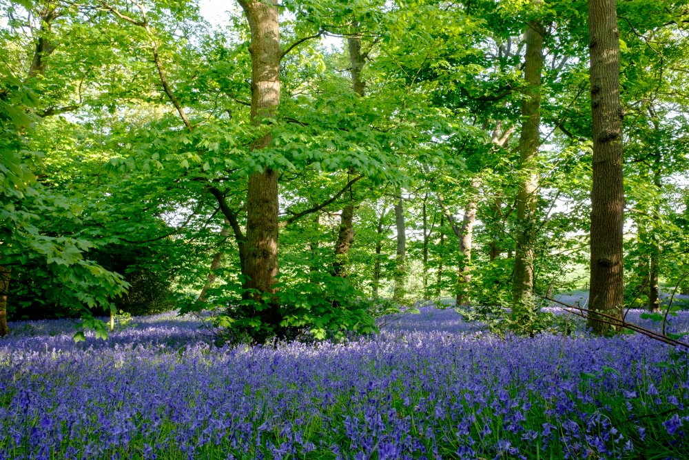 Defra UK tweet media