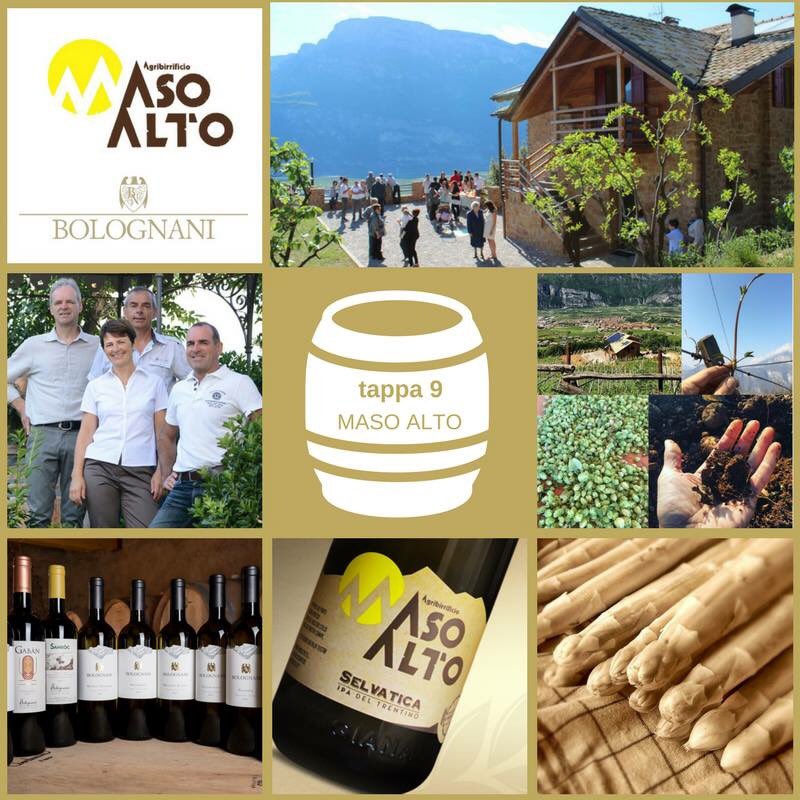 dimasoinvino's tweet image. tappa 9️⃣️ nella straordinaria location di Maso Alto: 

🍻 Agribirrificio Maso Alto
🥂 Cantina Bolognani
🍽️ a cura di CRCSD Paganella 

Intrattenimento:
🎤 ore 15 concerto dal vivo Blues Bringers Trio
👁️ visita al laboratorio di produzione della birra Maso Alto