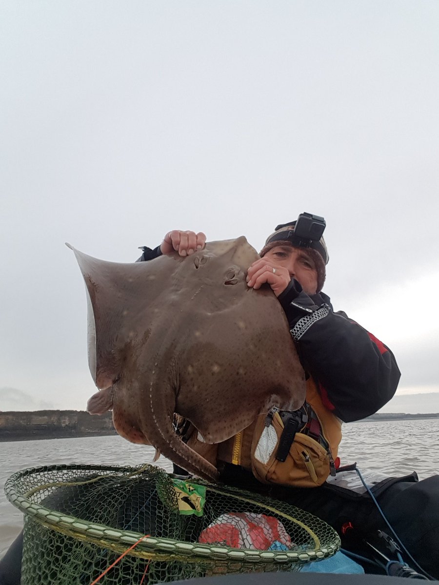 mkwindows's tweet image. A few fish at fonty yest 
It was sure cold but wurth the effort