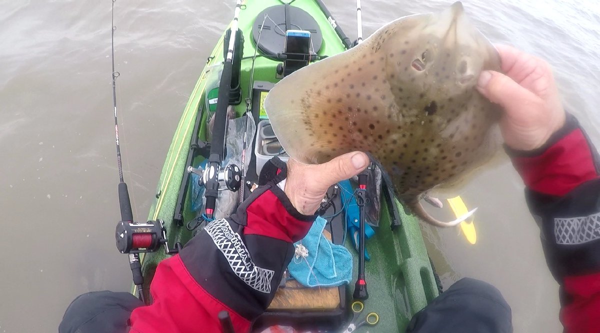 mkwindows's tweet image. A few fish at fonty yest 
It was sure cold but wurth the effort