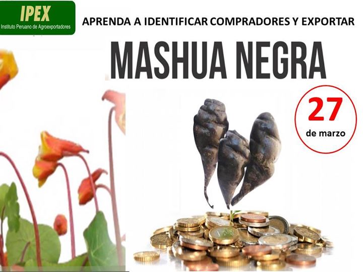 MacaPowderBenef's tweet image. #Superfoods #MacaPowderBenefits #MacaRoot
Read more: bitly.com/benefitsmaca