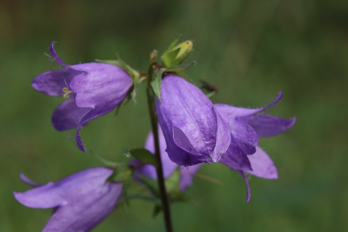 #EasterWeekend Woohooo! Time to get in your garden and help nature!
