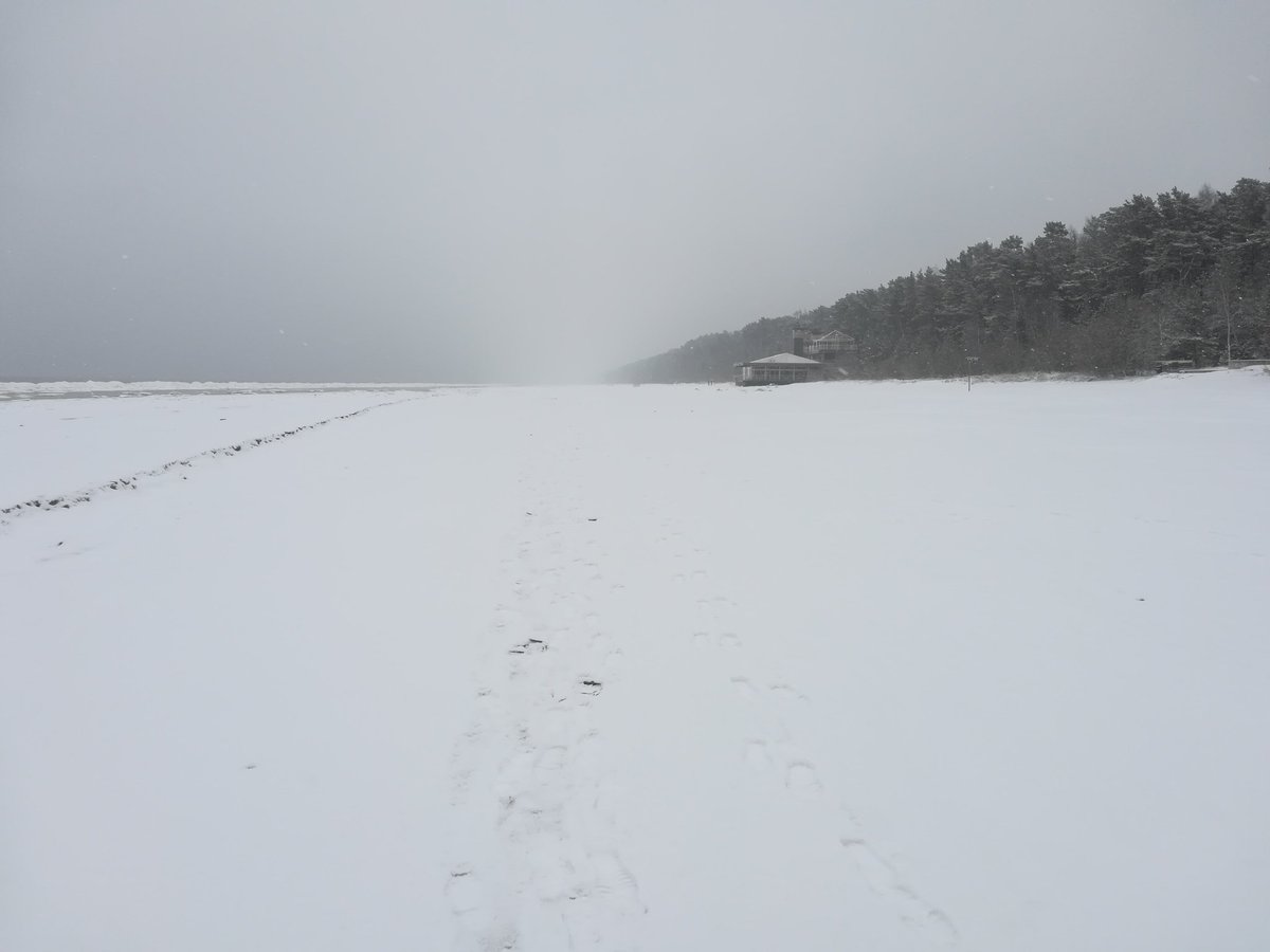 BuckleyShane's tweet image. Morning run along the beach while Jurmala is still sleeping #jurmala #latvia #prettyinwhite #beach #moresnow