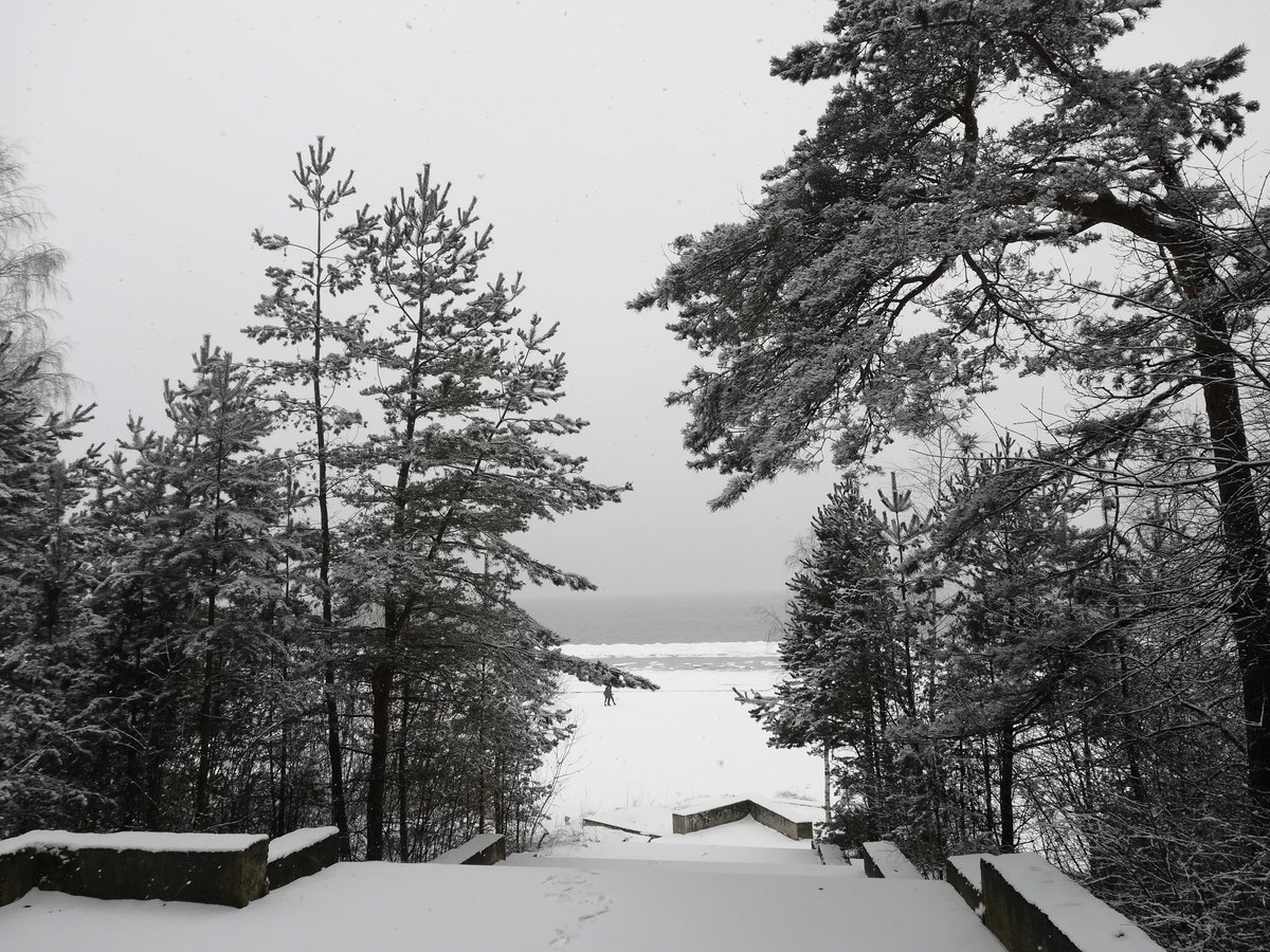BuckleyShane's tweet image. Morning run along the beach while Jurmala is still sleeping #jurmala #latvia #prettyinwhite #beach #moresnow