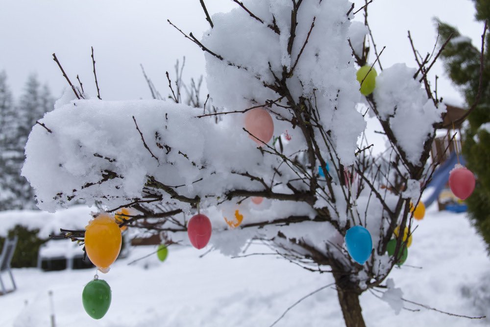 CardiffDay's tweet image. What do you reckon then...? 
On the cards?