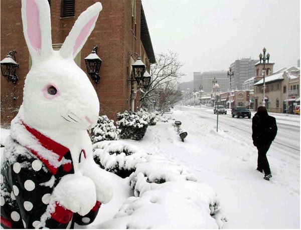 CardiffDay's tweet image. What do you reckon then...? 
On the cards?