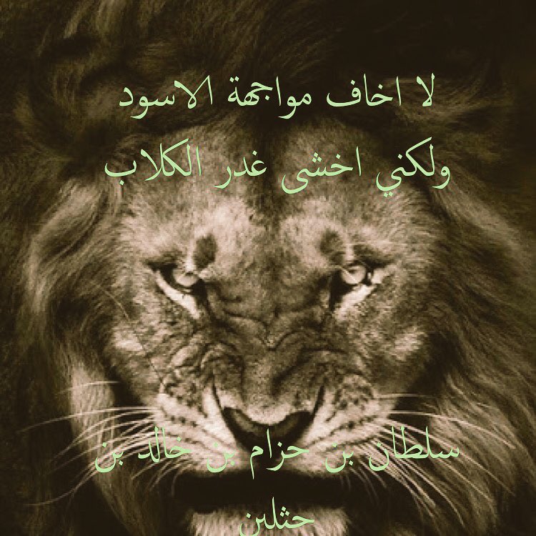 عندما تواجه أسد فأنت تعلم شجاعته وسمو نفسه ولو كان عدوك تحترمه لانه لا يغدر

ولكن الكلب!؟