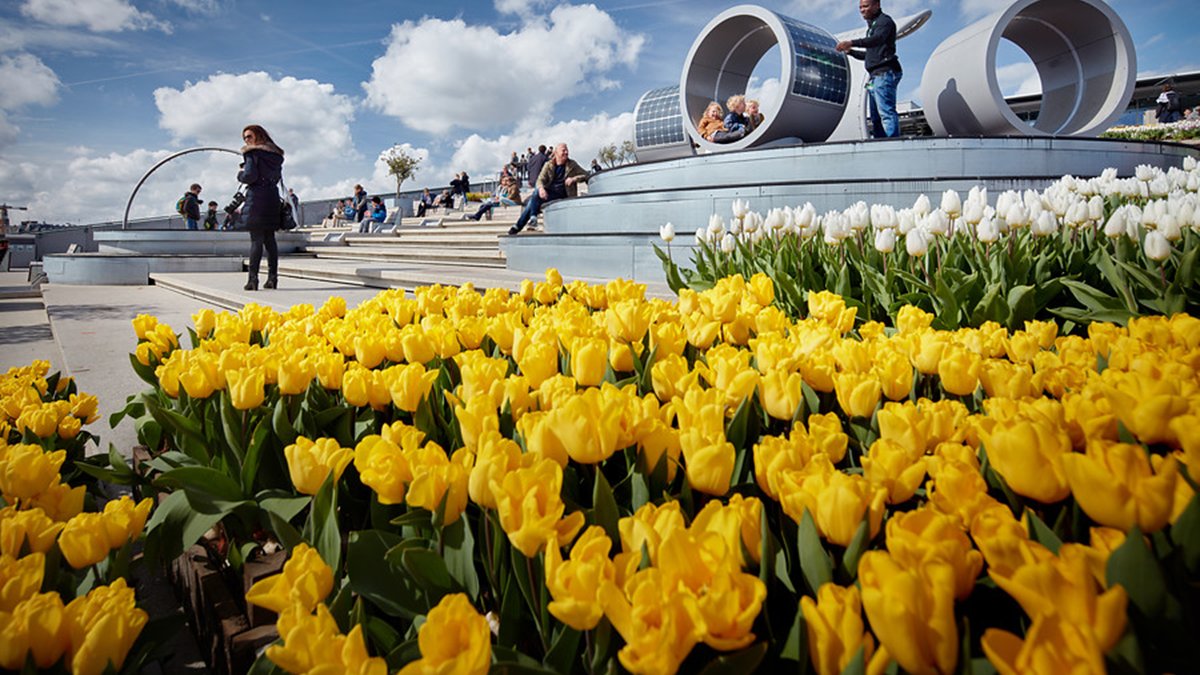 Uit in Amsterdam tweet media