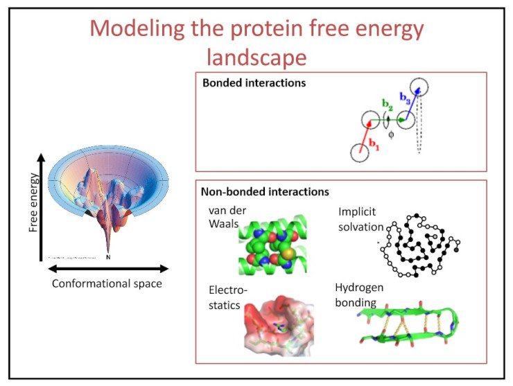 Eschersand's tweet image. Structural Bioinformatics - lecture slides faculty.washington.edu/dimaio/files/l…
Why do we care about protein folding? • If we understand how proteins fold, it may help us predict their 3D structure from sequence information alone.
#ComputationalScience #SentientEvolution #NWO #ScienceSaves