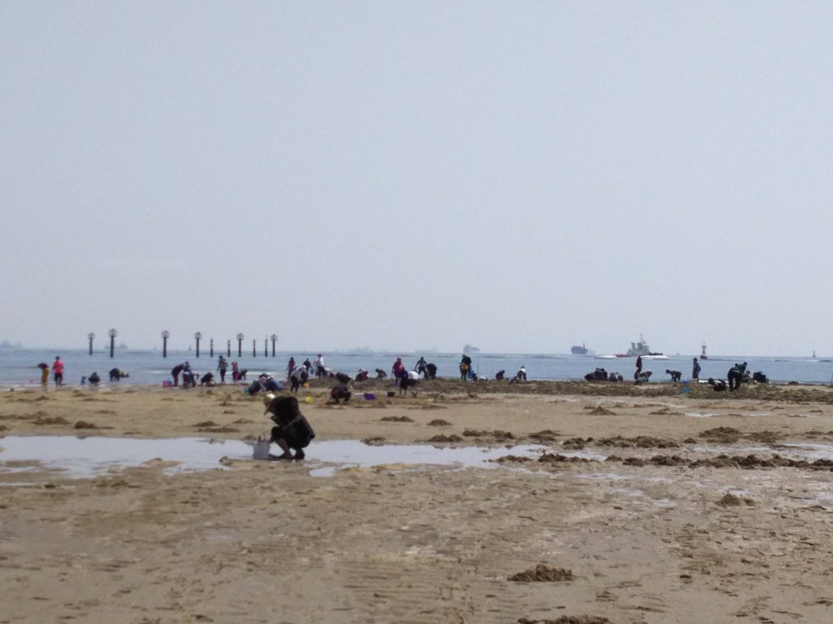 高松海岸 ট ইট র অন সন ধ ন 高松海岸 ট ইট র অন সন ধ ন
