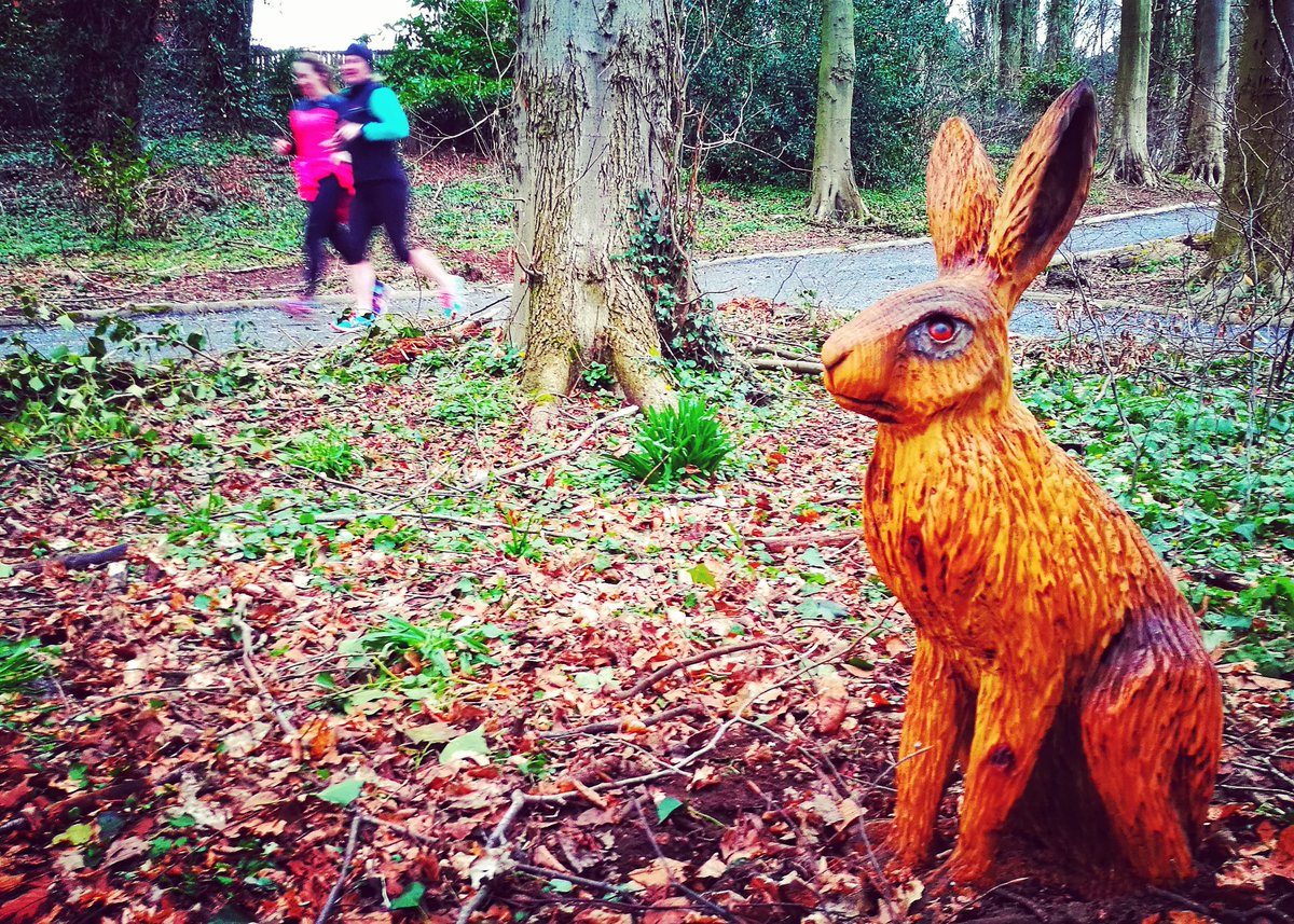 Eingebetteter Bild-Link