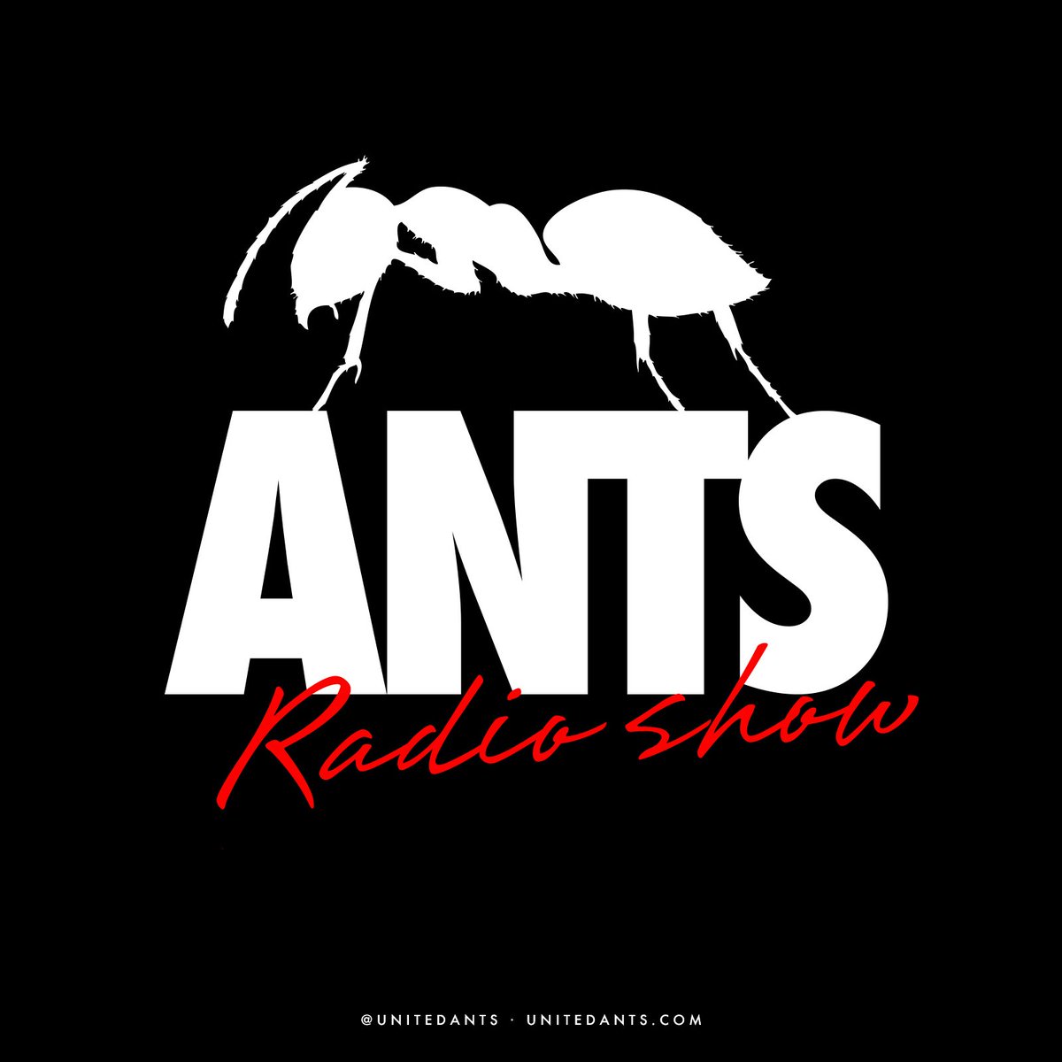 Nueva incorporación para la temporada 2018...

En ClubFM damos la bienvenida a <a href="/UnitedAnts/">UNITED ANTS</a>, ya puedes escuchar su programa Ants Radio Show todas las noches de Miércoles de 00 a 01h. (CET).