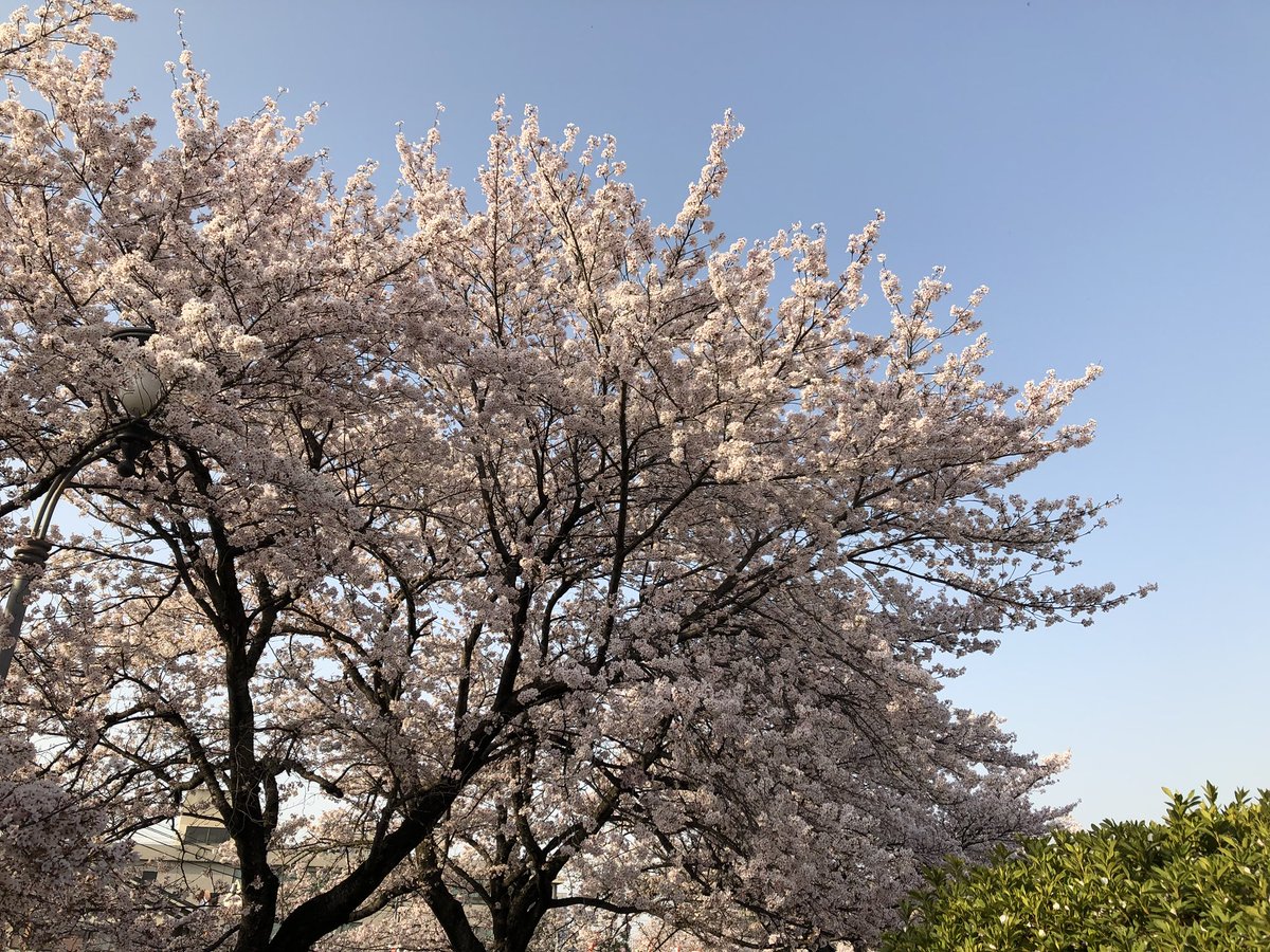 奈良県大和高田 奈良県大和高田