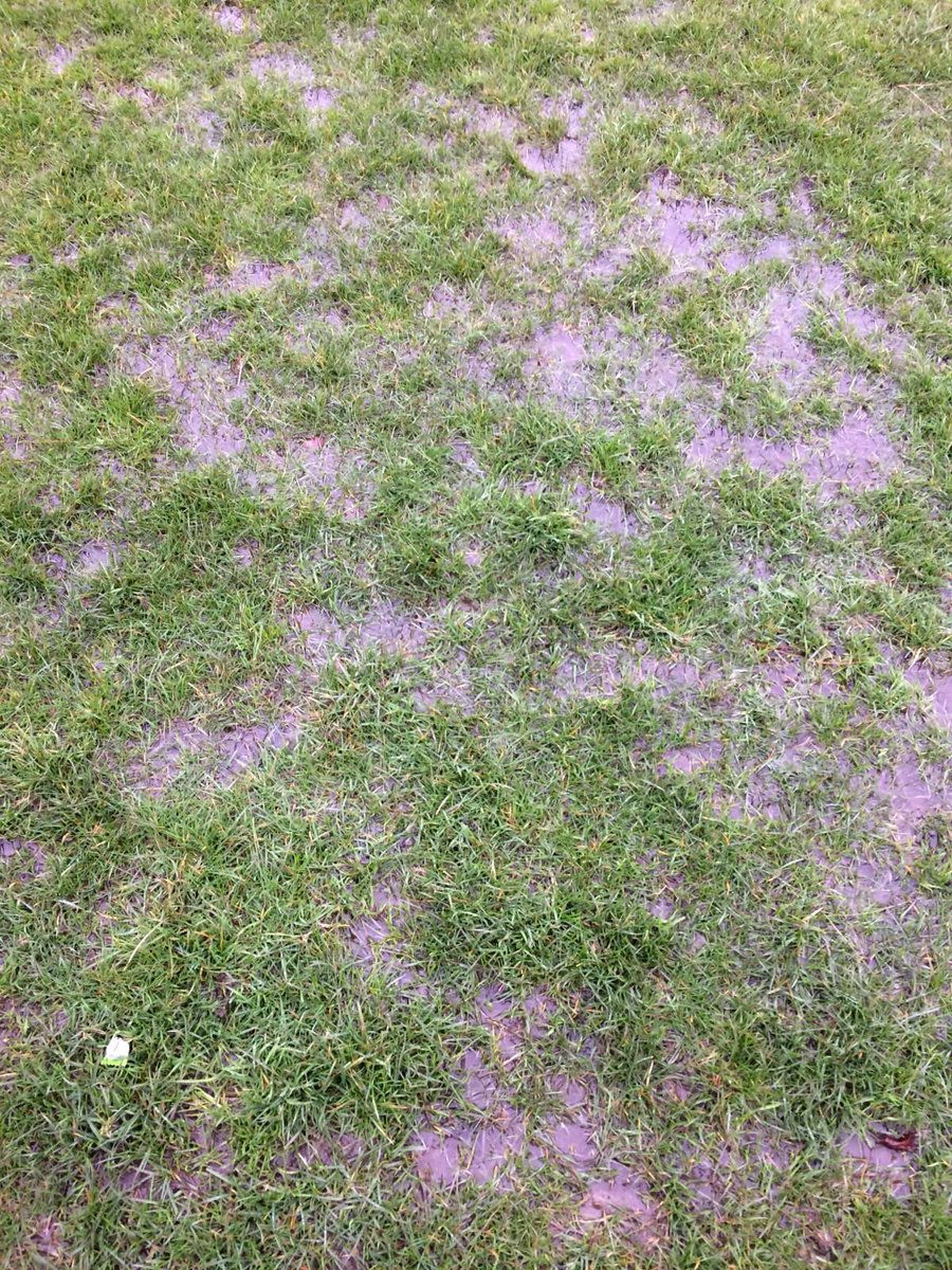 watchettownfc's tweet photo. This ground normally drains well but it has nowhere left to go. Will the season ever end? #WTFC 🔴⚫️ https://t.co/S8bUrlmiAS
