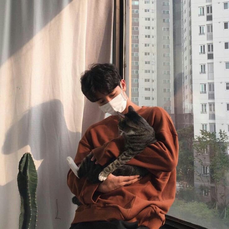 lira1j's tweet photo. อยู่ๆก็อยากจะเป็นแมว ///
#ulzzang #ไอดอลเกาหลี #ทาสแมว https://t.co/YK7b23hZQg